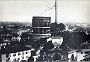 Viale Codalunga.-(Adriano Danieli)